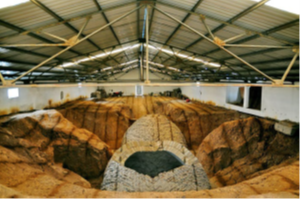 南京上坊东吴大墓本体保护设施设计