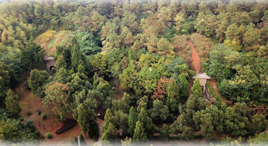 南唐二陵本体保护工程设计