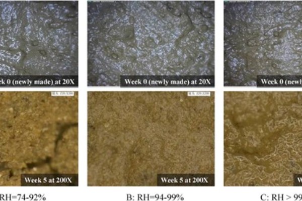极高湿环境下潮湿的土遗址表面形成的水膜抑制霉菌生长